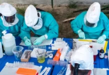 Viruela del mono: la OMS declara la alerta máxima por el aumento de casos en el mundo