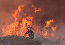 En fotos: los intensos incendios que pusieron en alerta a la zona central de Chile