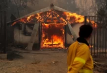 Los voraces incendios forestales en Chile dejan al menos 22 muertos y miles de hectáreas de bosque destruidas