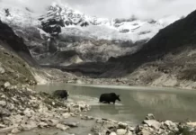 Los 4 países que enfrentan la mayor amenaza de inundaciones por el derretimiento de glaciares (incluido uno en América Latina)