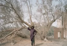 Sony World Photography Awards 2023: las imágenes ganadoras de los reconocidos premios de fotografía