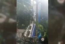 Qué se sabe de los 4 niños desaparecidos tras un accidente aéreo en la selva colombiana en el que murieron todos los adultos