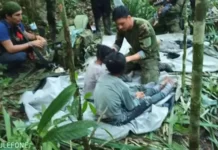 Niños perdidos en la selva de Colombia: hallan con vida a los 4 menores que desaparecieron hace 40 días tras un accidente de avión