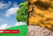 4 afirmaciones falsas sobre el cambio climático desmontadas por la ciencia | BBC Mundo