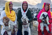 La aldea perdida donde las mujeres se juegan la vida en las montañas y los hombres se quedan en casa cultivando