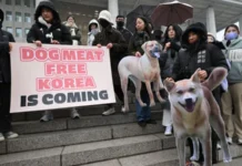 Corea del Sur prohíbe la venta de carne de perro pese a la oposición de las viejas generaciones