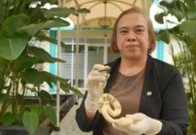 La única doctora especializada en veneno de serpientes en uno de los países con más víboras del mundo