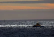 La revolucionaria tecnología con la que científicos detectaron la formación de un tsunami en tiempo real y que puede salvar miles de vidas