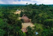 Descubrimiento en el Amazonas: los misterios de los antiguos pobladores de la mayor selva del mundo