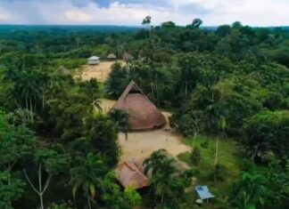 Descubrimiento en el Amazonas: los misterios de los antiguos pobladores de la mayor selva del mundo