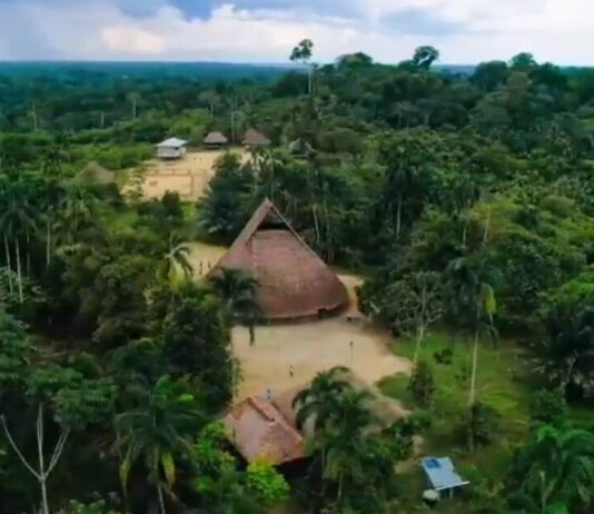 Descubrimiento en el Amazonas: los misterios de los antiguos pobladores de la mayor selva del mundo