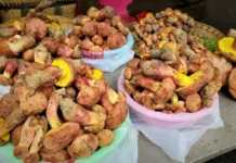 Los científicos que buscan descifrar el misterio de los hongos que hacen alucinar a la gente con humanos diminutos