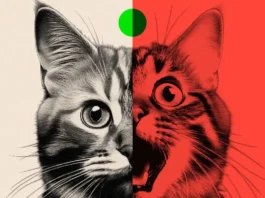 Cómo las imágenes absurdas creadas con IA están cambiando a las redes sociales y afectando a sus usuarios