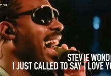 Stevie Wonder – I Just Called To Say I Love You (The Woman In Red) (1984)/ Radio luna.cl