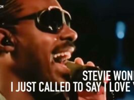 Stevie Wonder – I Just Called To Say I Love You (The Woman In Red) (1984)/ Radio luna.cl