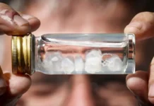 ¿Cuál es la picadura más dolorosa del mundo?