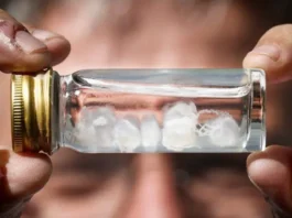 ¿Cuál es la picadura más dolorosa del mundo?