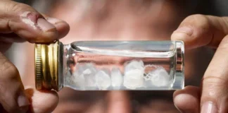 ¿Cuál es la picadura más dolorosa del mundo?