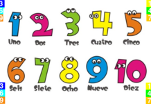 Por qué el 142857 es un número mágico que fascina a los matemáticos desde hace siglos | BBC Mundo