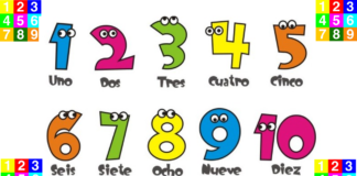 Por qué el 142857 es un número mágico que fascina a los matemáticos desde hace siglos | BBC Mundo