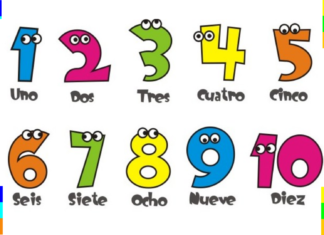 Por qué el 142857 es un número mágico que fascina a los matemáticos desde hace siglos | BBC Mundo