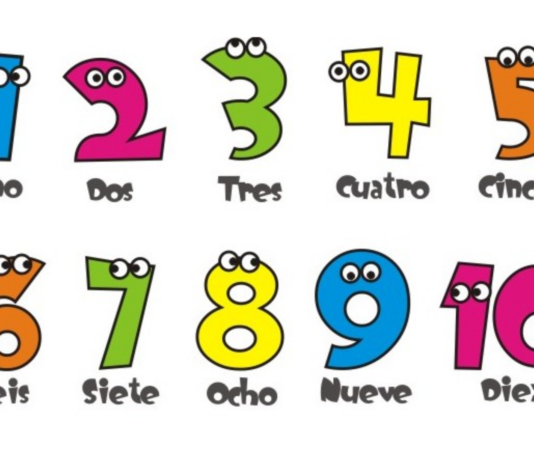 Por qué el 142857 es un número mágico que fascina a los matemáticos desde hace siglos | BBC Mundo