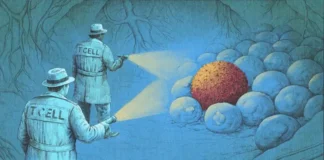 «Es increíble, como ciencia ficción»: los nuevos tratamientos con inmunoterapia que están eliminando el cáncer