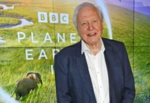 David Attenborough cumple 100 años: cómo se hizo «La vida en la Tierra», el documental que transformó nuestra manera de ver la naturaleza