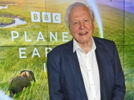 David Attenborough cumple 100 años: cómo se hizo «La vida en la Tierra», el documental que transformó nuestra manera de ver la naturaleza