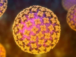 Qué es el hantavirus y cuáles son los síntomas del virus que causó 3 muertes en un crucero