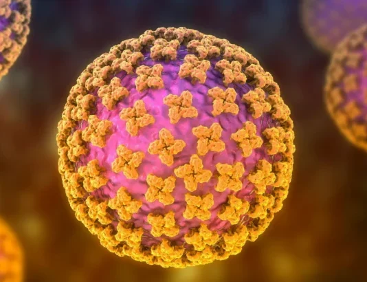 Qué es el hantavirus y cuáles son los síntomas del virus que causó 3 muertes en un crucero