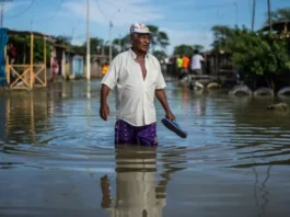«Super El Niño»: los gráficos que muestran por qué puede ser el fenómeno más extremo en décadas (y cuáles serían sus efectos)