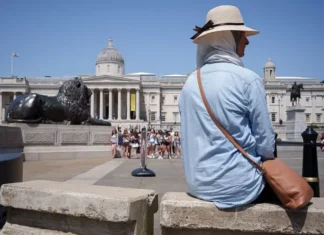 Cómo impacta el calor extremo a nuestro cuerpo y cómo puedes protegerte