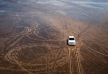 La indignación por el daño ambiental que causó un hombre con su camioneta en la Pampa del Leoncito, un ecosistema único de Argentina