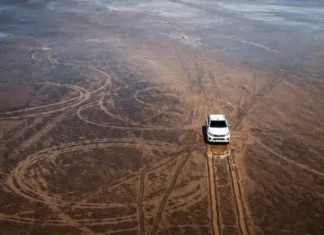 La indignación por el daño ambiental que causó un hombre con su camioneta en la Pampa del Leoncito, un ecosistema único de Argentina