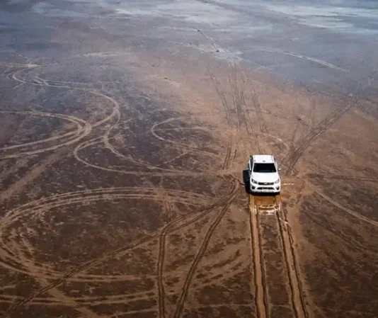 La indignación por el daño ambiental que causó un hombre con su camioneta en la Pampa del Leoncito, un ecosistema único de Argentina