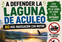 Activista defensa de la laguna..la entrevistaron en el reportaje de canal 13 ojalá la saquen al aire….estamos preparando una feroz campaña para defender la laguna de aculeo