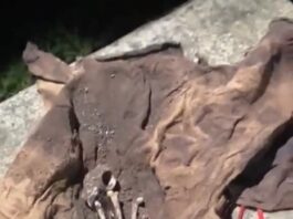 Jahir Yusef el ocultista detrás del escalofriante hallazgo de brujería en el Estadio Fiscal de Talca