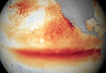 Los océanos del planeta alcanzan la temperatura media más alta jamás registrada mientras El Niño se intensifica