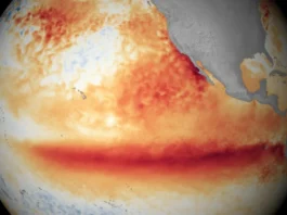 Los océanos del planeta alcanzan la temperatura media más alta jamás registrada mientras El Niño se intensifica