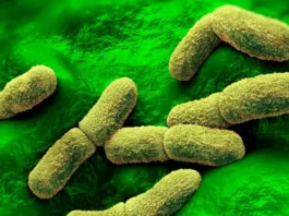 EE.UU. «sigue de cerca» el caso de una científica rusa que falleció en un centro de investigación de la peste en Siberia
