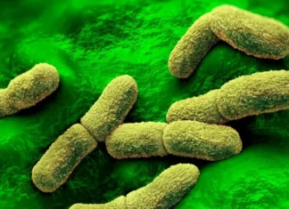 EE.UU. «sigue de cerca» el caso de una científica rusa que falleció en un centro de investigación de la peste en Siberia