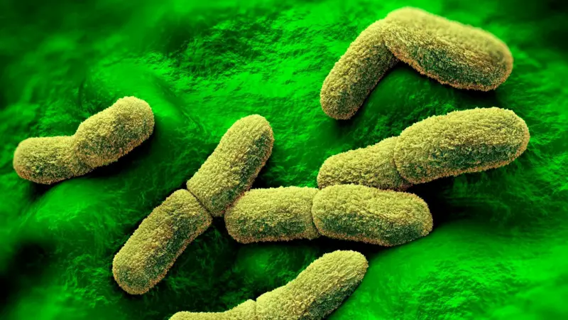 EE.UU. «sigue de cerca» el caso de una científica rusa que falleció en un centro de investigación de la peste en Siberia